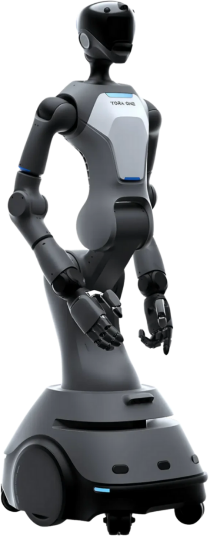 ToraOne
